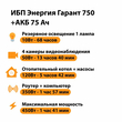 ИБП для котла Энергия Гарант 750 + Аккумулятор 75 Ач 12 В (450Вт - 91мин) - ИБП и АКБ - ИБП для котлов - . Магазин оборудования для автономного и резервного электропитания Ekosolar.ru в Пушкино